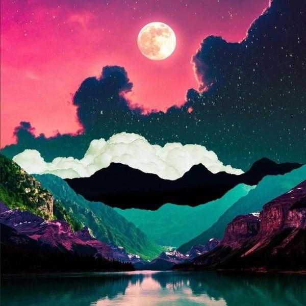 见缝插刀2